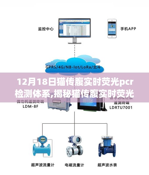 揭秘猫传腹实时荧光PCR检测体系，要点、应用与未来展望（12月18日最新研究）