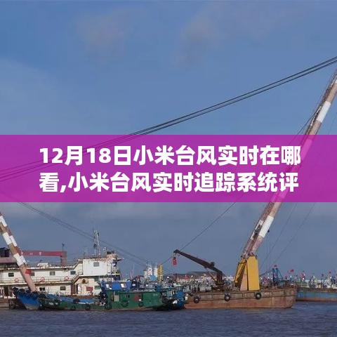 小米台风实时追踪系统评测，体验报告与台风动态追踪