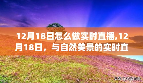 12月18日与自然美景的实时直播之旅，探寻内心宁静与平和的启示