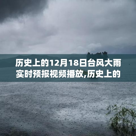 历史上的风云瞬间，揭秘12月18日台风大雨的实时预报与深远影响视频播放