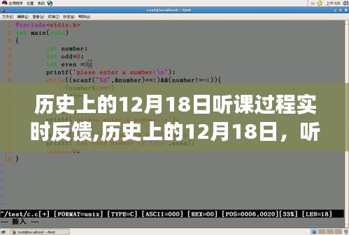 历史上的12月18日课程反馈深度解析，实时反馈的价值与影响探讨