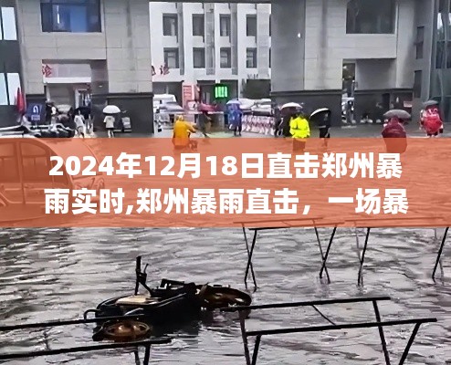 郑州暴雨直击，一场暴雨背后的故事与影响（实时更新）