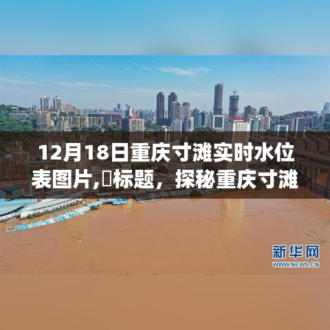 探秘重庆寸滩水位，隐秘小巷与特色小店的奇遇记