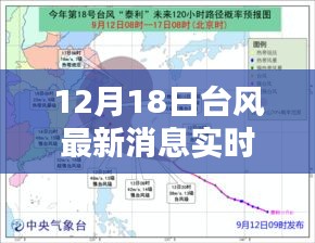 12月18日台风最新动态及影响分析