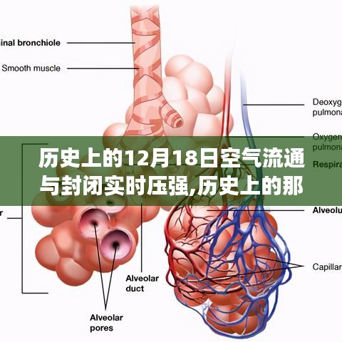 guangmingleiluo 第3页