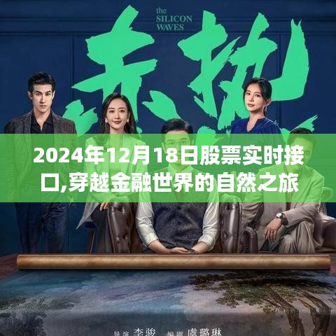 探索股票实时接口的心灵之旅，穿越金融世界的自然之旅（2024年12月18日）