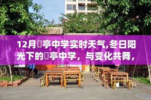 冬日阳光下的虒亭中学，实时天气与自信追梦之旅