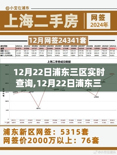 12月22日浦东三区最新动态与关键信息解析实时查询