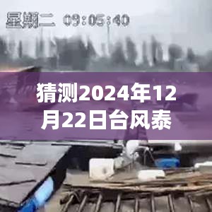 揭秘台风泰利在2024年12月22日的神秘路径，探寻大自然之美与实时动态预测