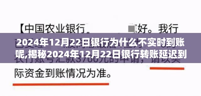 揭秘，为何在特殊日期（2024年12月22日）银行转账会出现延迟到账现象？