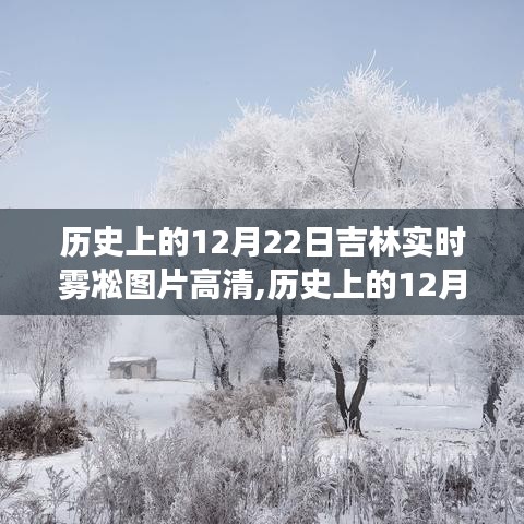 历史上的12月22日吉林雾凇高清图片，多视角解读雾凇现象