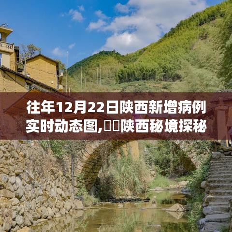 陕西秘境探秘，与自然共舞的心灵之旅及实时新增病例动态图展示