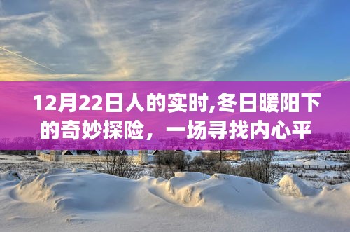 冬日暖阳下的心灵探险，12月22日的实时记录