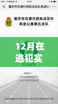 深入解析，12月在逃犯实时报警功能的应用体验与评测