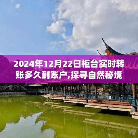 转账时刻与探寻自然秘境，一次心灵同步的旅行