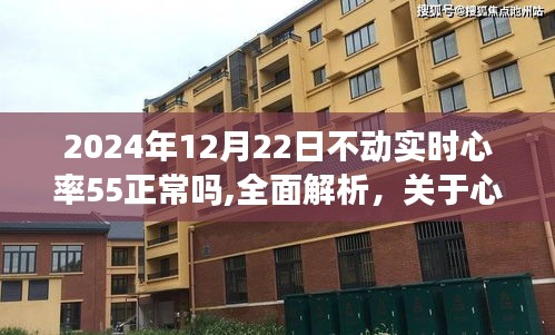 关于心率监测与评估的全面解析，不动实时心率55在特定日期的正常性探讨