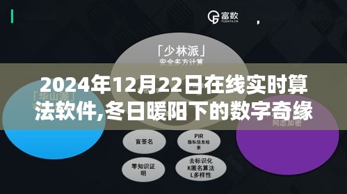 冬日暖阳下的数字奇缘，在线实时算法软件的温馨日常与日常应用