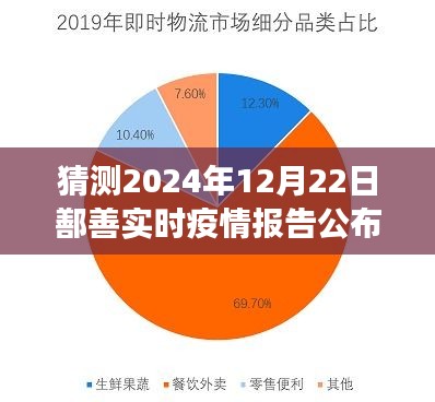 鄯善县疫情报告预测与解读，未来走向分析及最新动态解读（以2024年12月为例）