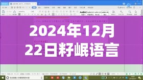 2024年籽岷语言实时翻译Mod，开启跨语言交流新篇章