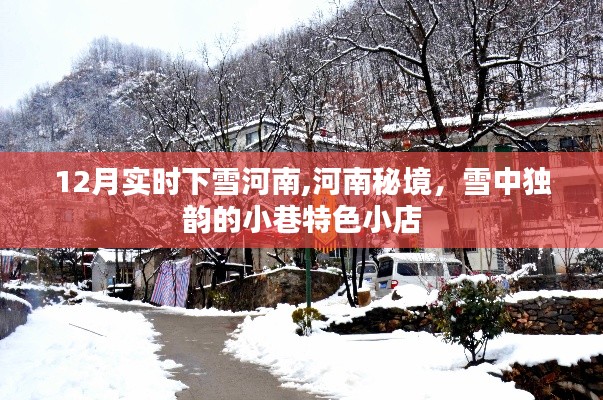 河南秘境，雪中独韵的小巷特色小店，实时下雪美景尽收眼底