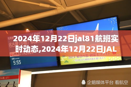 探索航班之旅，了解2024年12月22日JAL81航班的最新实时动态