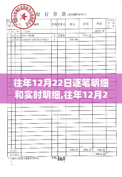 往年12月22日财务明细深度解析与产品评测，逐笔明细与实时明细对比探讨