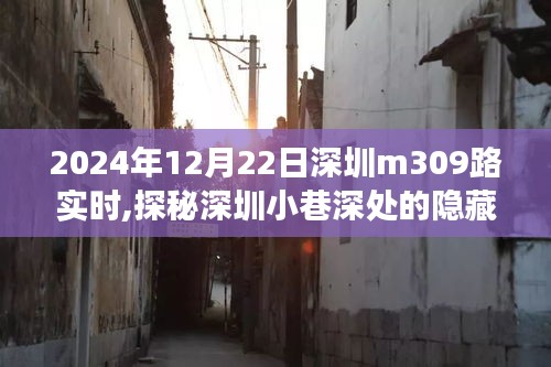 探秘深圳M309路上的隐藏美食，小巷深处的独特小店之旅（2024年12月22日实时）