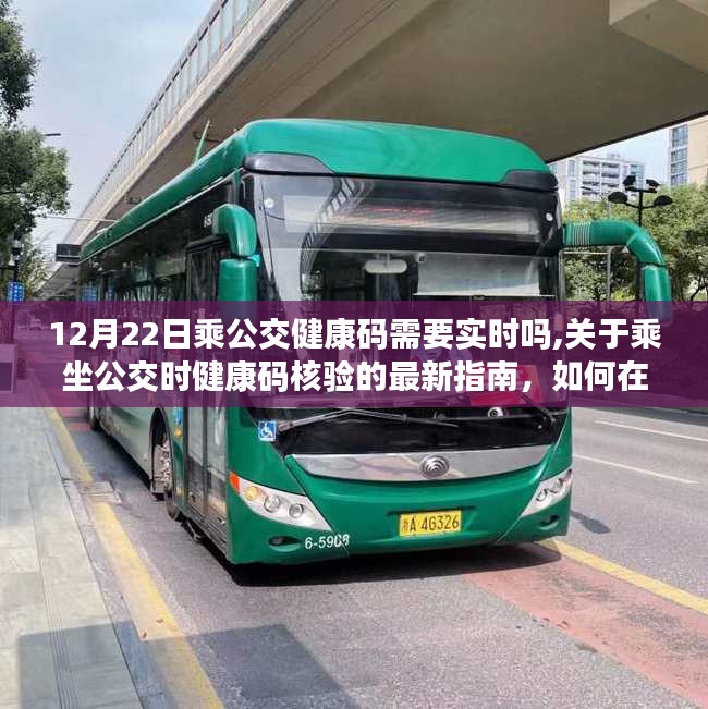 12月22日公交健康码实时验证指南，最新乘坐公交健康码核验要求与实时验证步骤