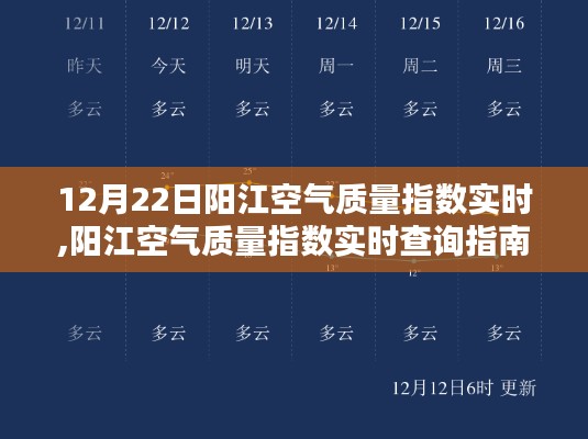 阳江空气质量指数实时查询指南，初学者到进阶用户的全方位指南（12月22日更新）