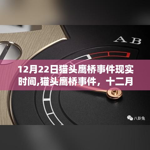 猫头鹰桥事件，十二月的回响与现实时间的印记