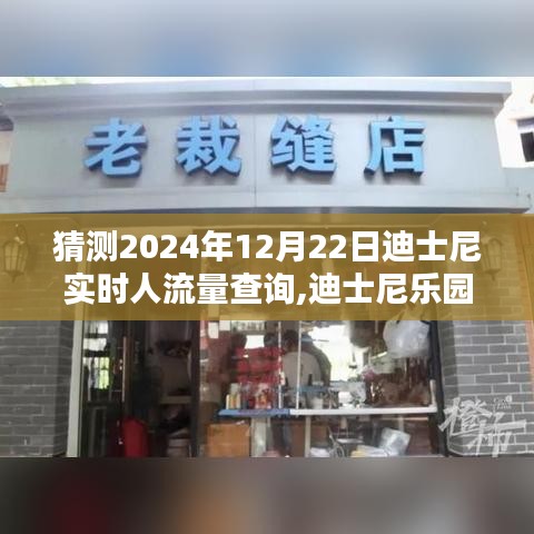 迪士尼乐园未来人流量预测，聚焦挑战与机遇，预测2024年12月22日的实时人流量查询分析