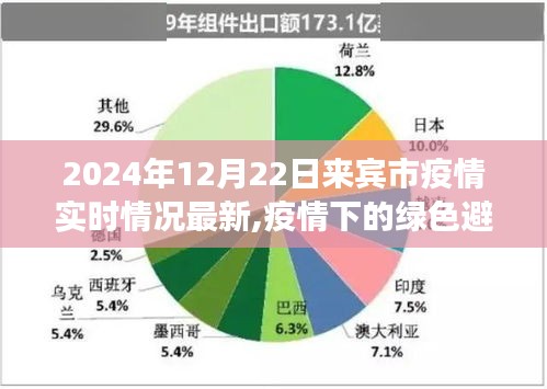 来宾市疫情最新动态，绿色避风港的自然探索之旅与心灵宁静的追寻