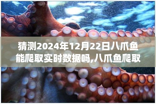 八爪鱼爬取实时数据能力预测，2024年12月22日的可能性分析及其爬取实时数据展望