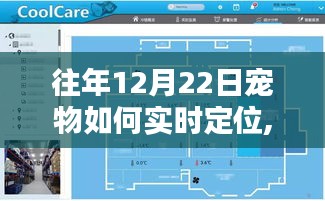 往年12月22日宠物实时定位技术详解，优劣分析与个人观点分享