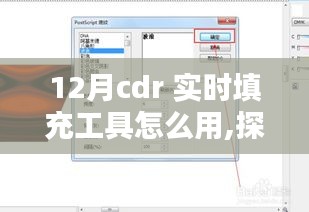 探索十二月CDR实时填充工具，应用方法、影响力与时代地位详解