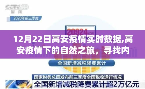 高安疫情下的自然之旅，寻找内心的宁静与力量，实时数据解析（12月22日）