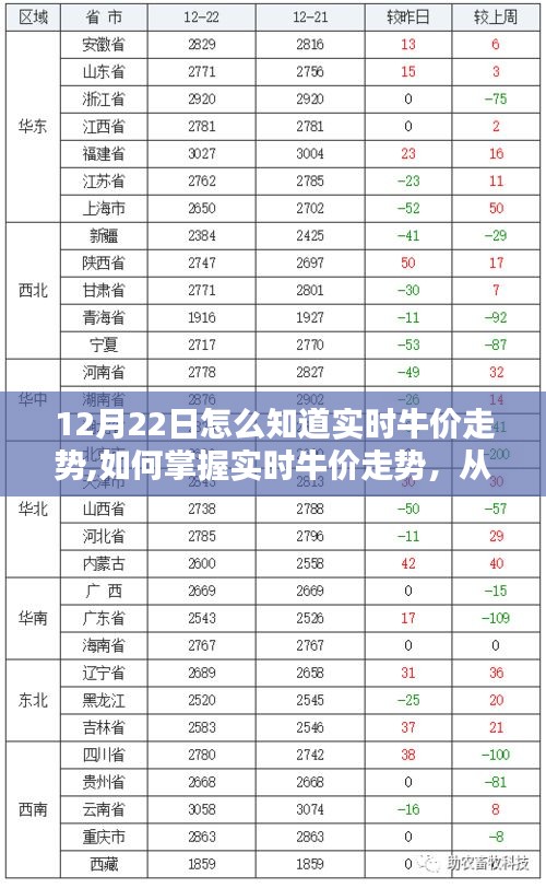 实时牛价走势掌握攻略，从入门到进阶的详细指南