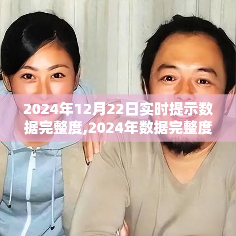 2024年数据完整度实时提示的深度分析与重要性，个人观点及实时提示数据完整度解析