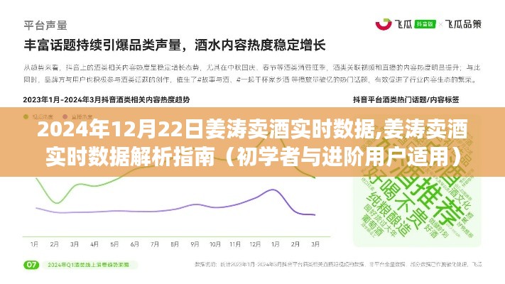 姜涛卖酒实时数据解析指南，从初学者到进阶用户的全方位指南（2024年12月22日版）