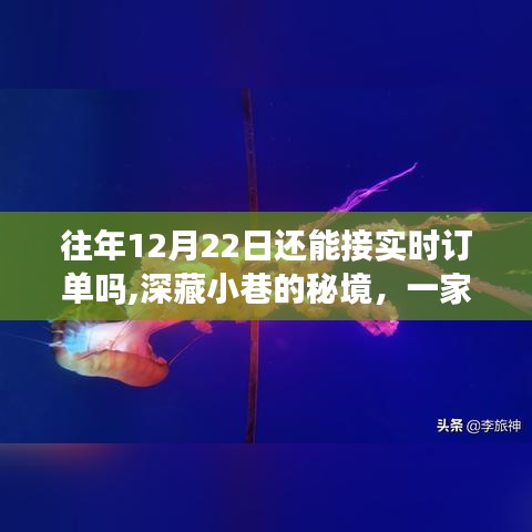 冬至时节，小巷秘境中的特色小店依旧实时接单