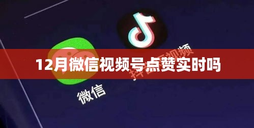 微信视频号点赞实时性探讨，12月表现如何？