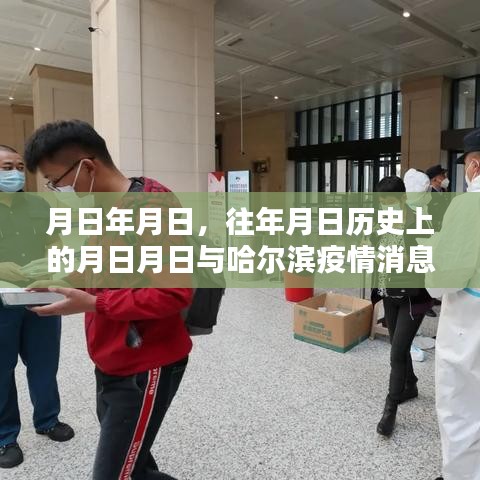 哈尔滨疫情实时更新，历史与最新动态