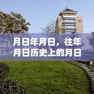 历史追踪揭秘，月日月日道具软件实时下载与追踪