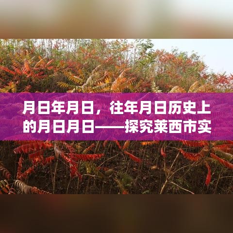 莱西市实时地图时空之旅，探究历史日期地图细节