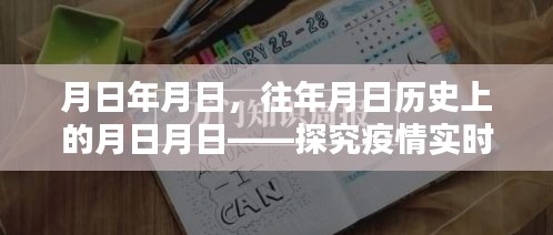 疫情动态解析，月日月日的回顾与实时探究