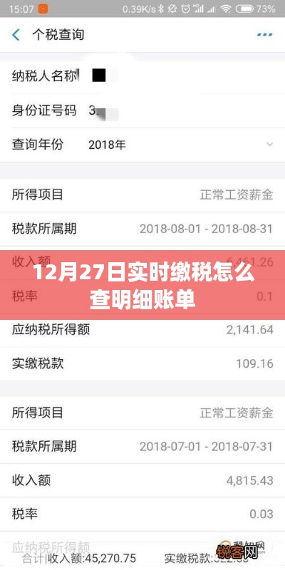 实时缴税明细账单查询指南，12月27日操作教程