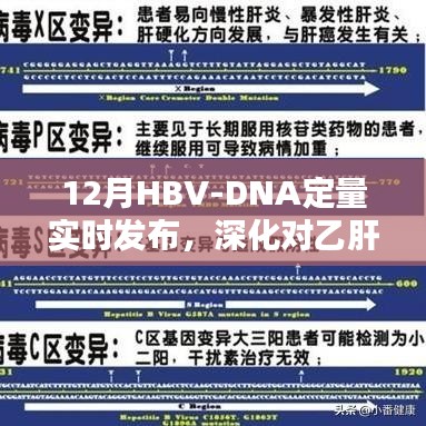 HBV-DNA定量实时发布，深化对乙肝病毒载量的理解