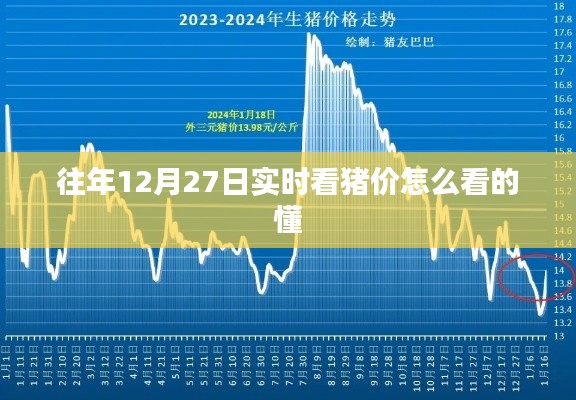 往年12月27日实时猪价走势解读