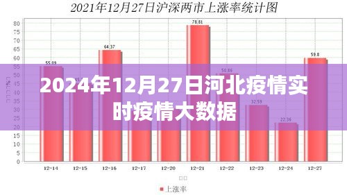 河北疫情实时大数据报告，最新动态与趋势分析