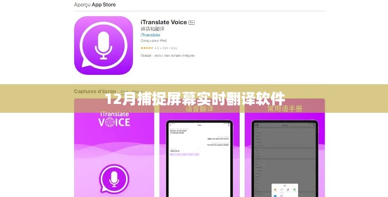 实时屏幕翻译软件揭秘，捕捉屏幕翻译新体验